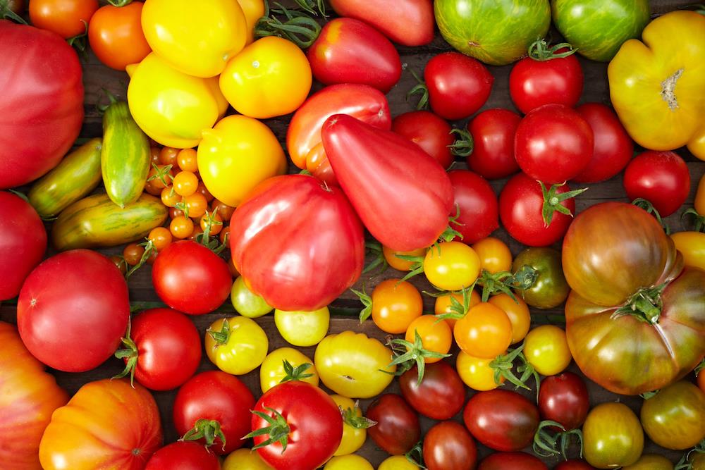 Pompa per alimenti: pulizia vasche e trasferimento pomodori