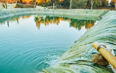 Come pulire una vasca di accumulo acqua piovana: la soluzione per la manutenzione preventiva