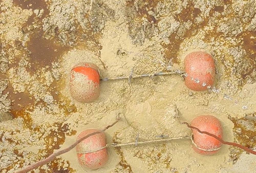 Pompa per fanghi alimentari: la soluzione per la gestione dei flottati nell’industria alimentare
