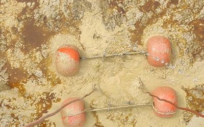 Pompa per fanghi alimentari: la soluzione per la gestione dei flottati nell’industria alimentare