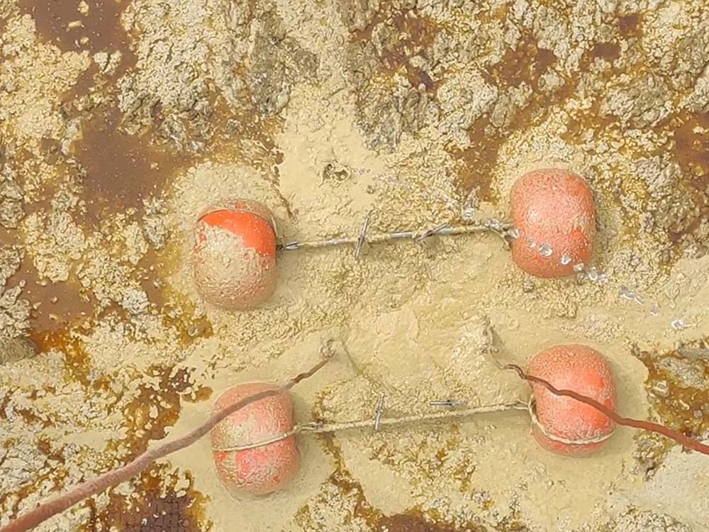 pompa per fanghi alimentari