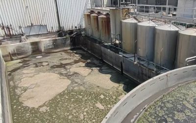 Vasca di decantazione: fanghi oleosi impossibili da rimuovere?