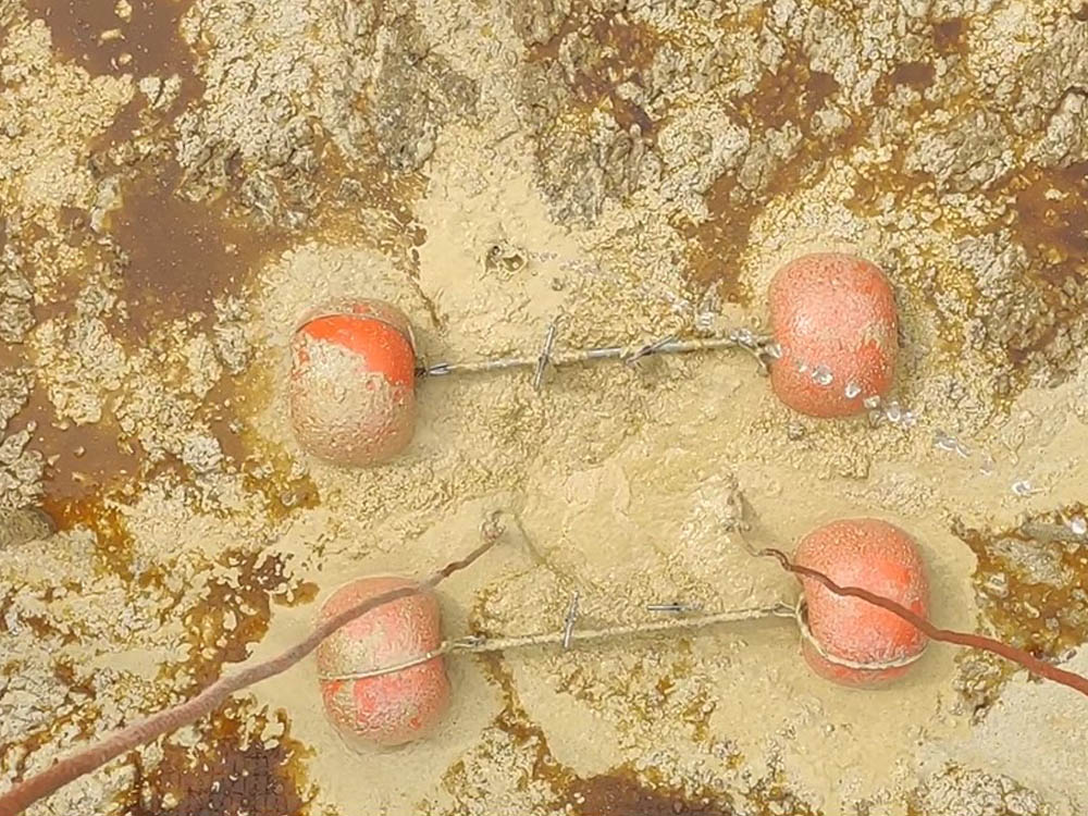 Food sludge: how to manage sludge in food processing plants 1 Food sludge and floating grease layer inside a food processing wastewater tank