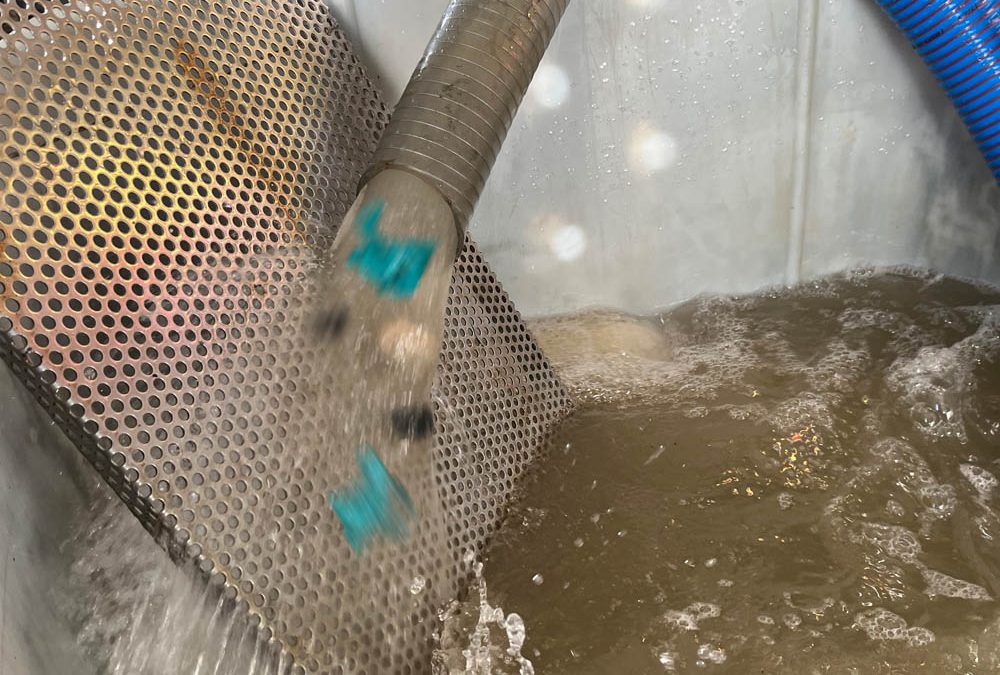 Acque cariche: cosa sono e come gestirle nel pompaggio senza blocchi