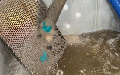 Home 14 Acque cariche: cosa sono e come gestirle nel pompaggio senza blocchi